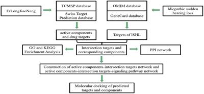 Potential molecular mechanisms of Erlongjiaonang action in idiopathic sudden hearing loss: A network pharmacology and molecular docking analyses